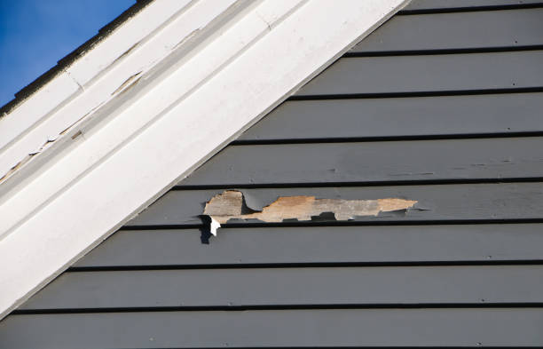 Best Vinyl Siding Installation  in Urbana, MD